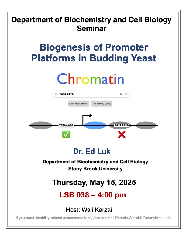 Flier