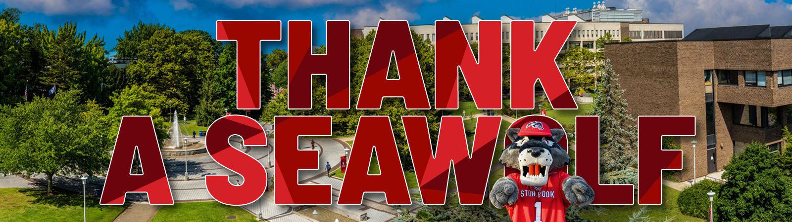 Thank seawolf