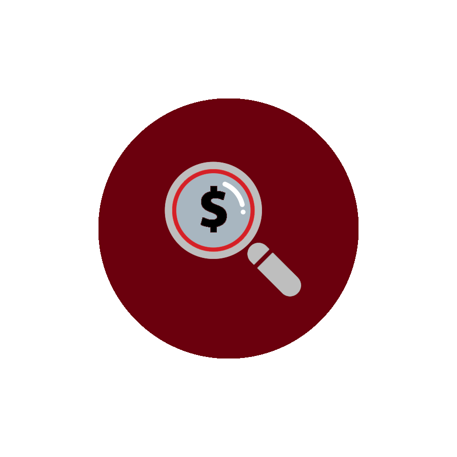icon of a red circle with gray magnifying glass inside of it, and a dollar sign in the middle of a magnifying glass