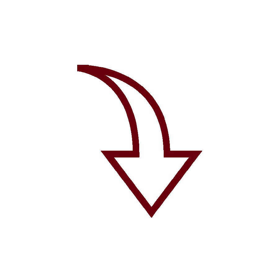 icon of an arrow pointing downward