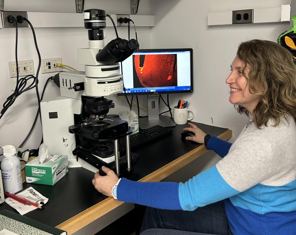 Women Smiling and doing research