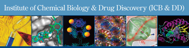 Institute for Chemical Biology and Drug Discovery logo