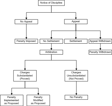 Discipline Diagram