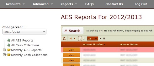 aes reports instructions 1