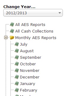 aes reports instructions 3