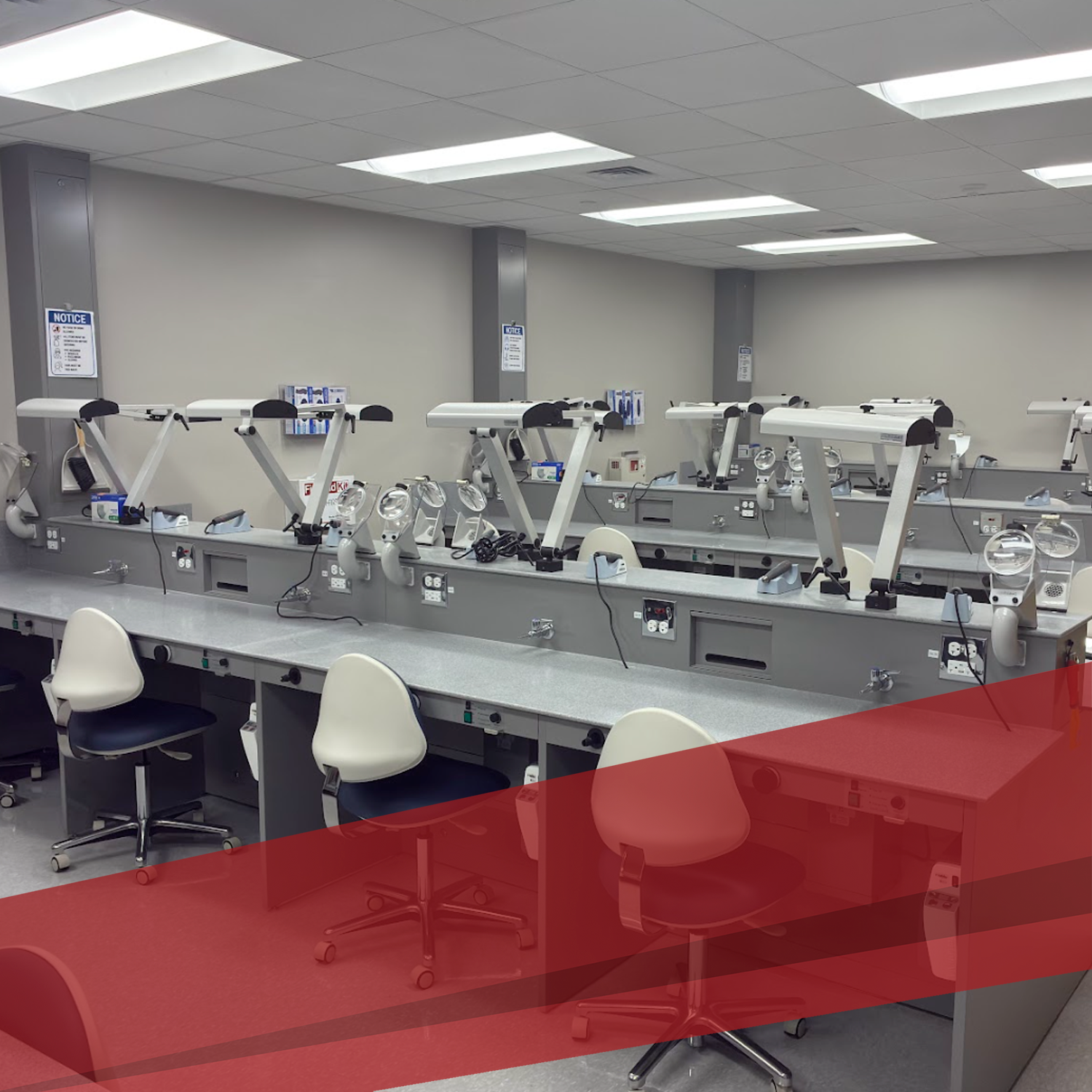 Dental Medicine Labs