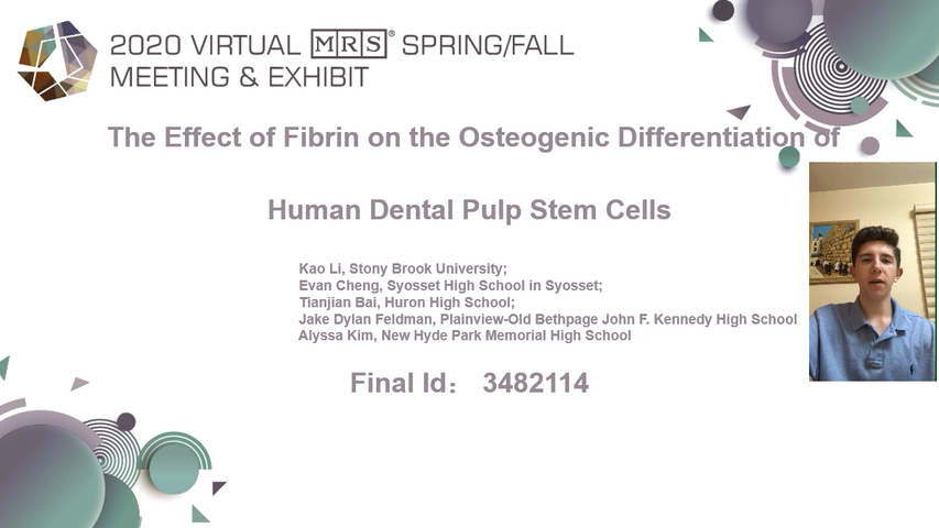 The Effect of Fibrin on the Osteogenic Differentiation of Human Dental Pulp Stem Cells  