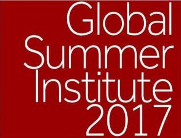 Global Summer Institute
