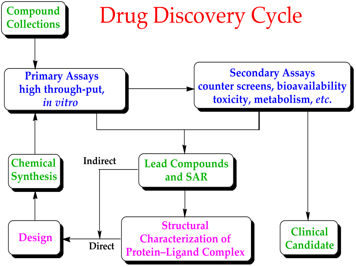 Drug Cycle