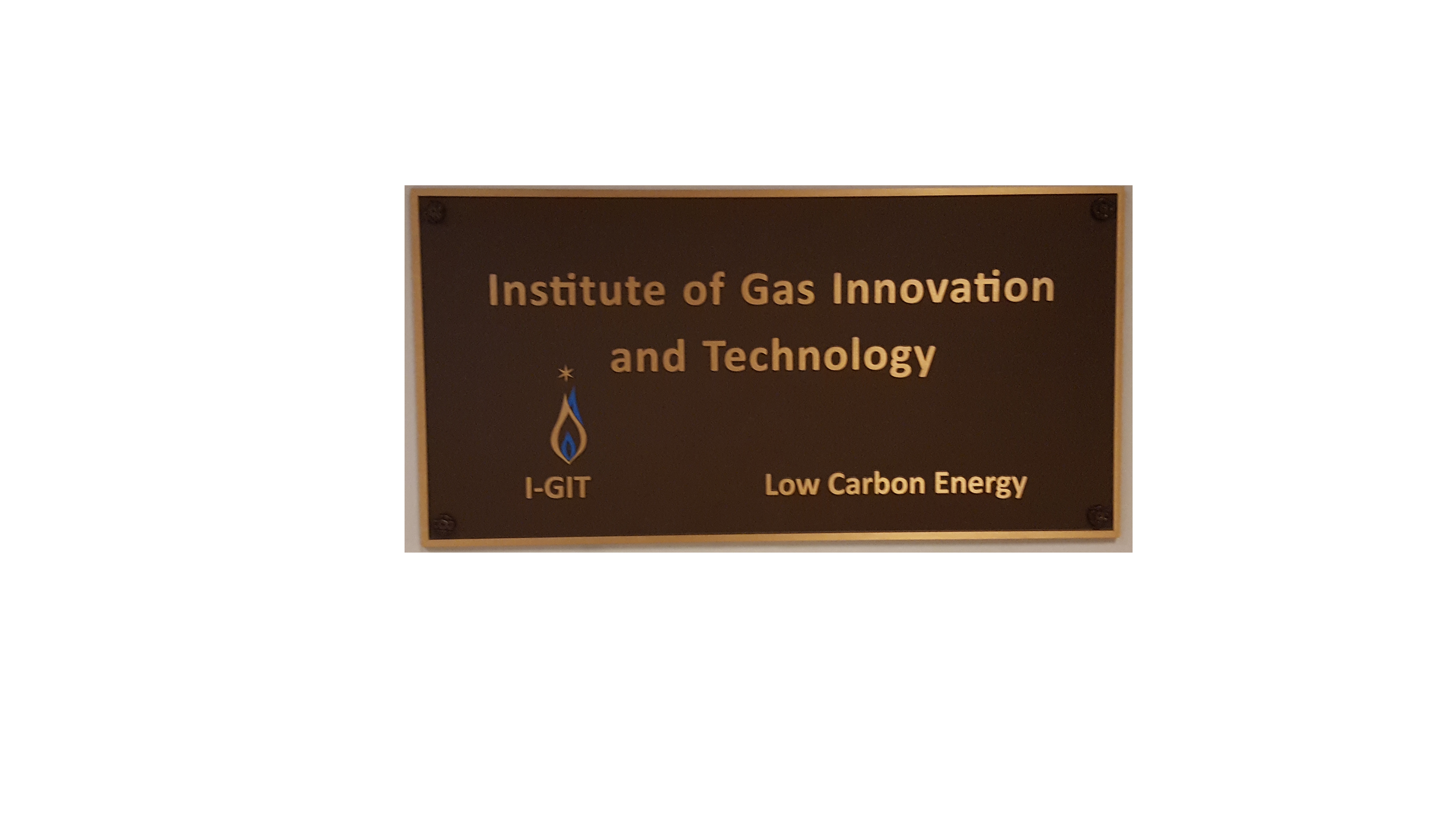 Institute of Gas Innovation and Technology