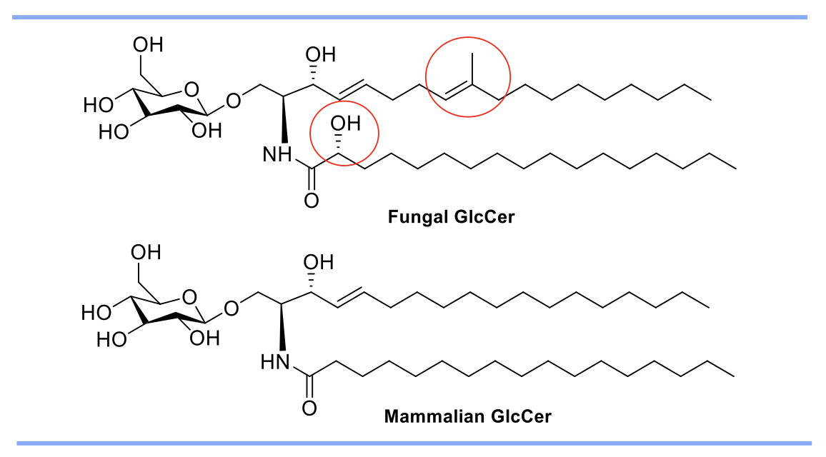 Fig1