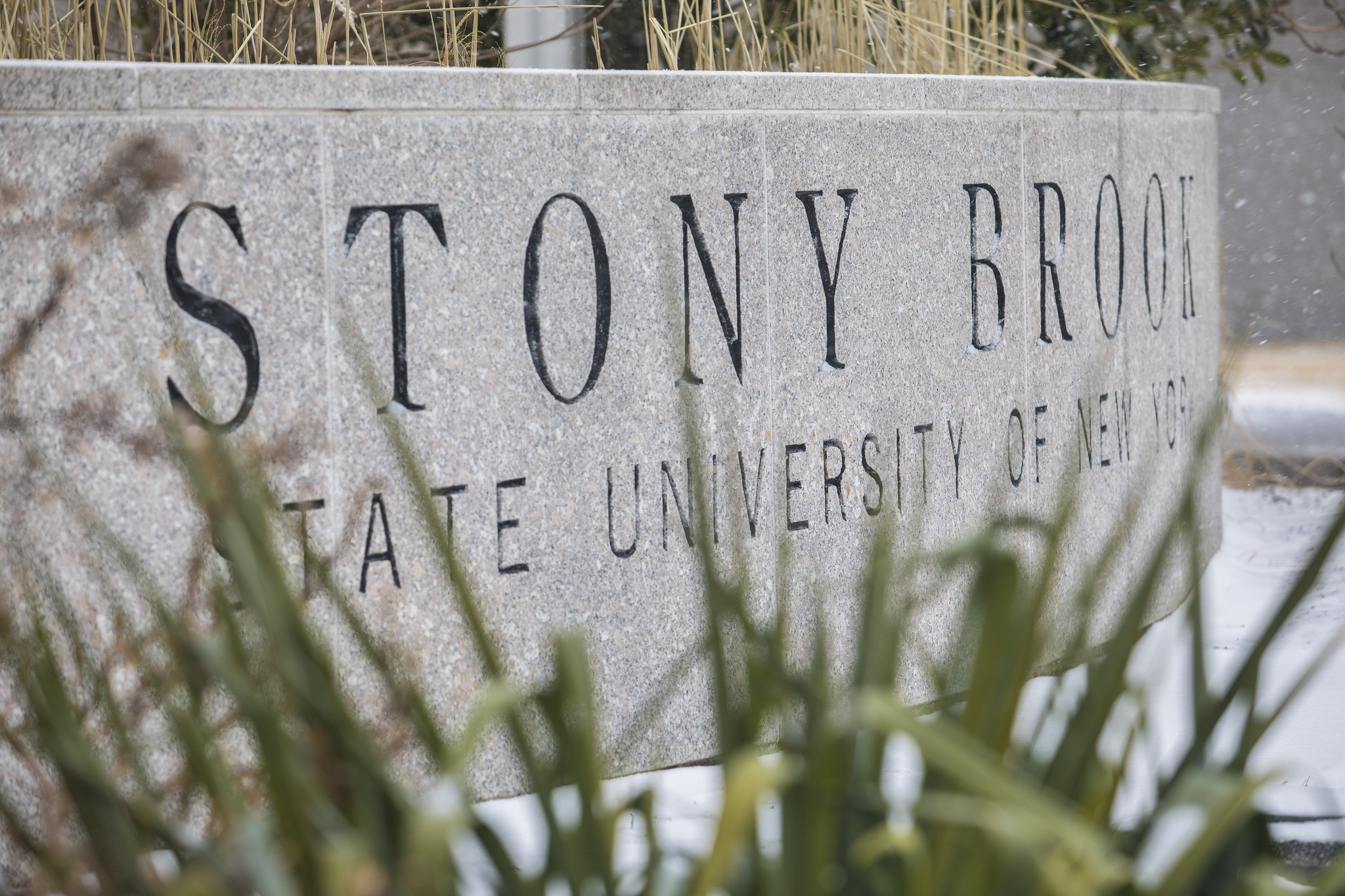 Stony Brook University Sign 