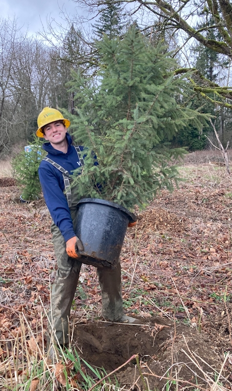 Alex Casamassima carrying a potted tree in Washington State