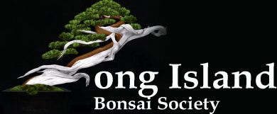 Long Island Bonsai Society logo